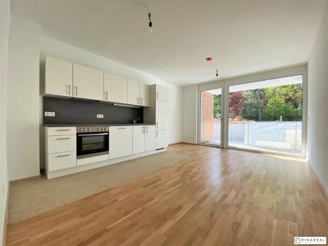 Wohnung mieten in Bad Vöslau, Niederösterreich