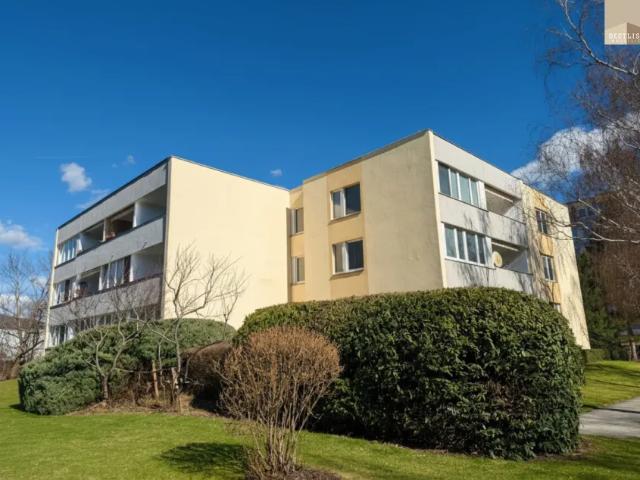 Wohnung mieten in Baden, Niederösterreich