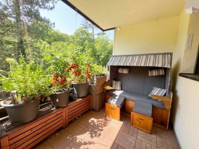Wohnung kaufen in Baden, Niederösterreich
