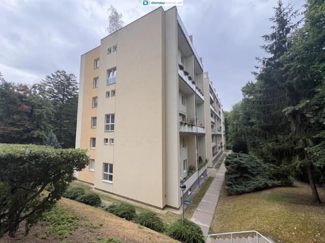 Wohnung kaufen in Baden, Niederösterreich