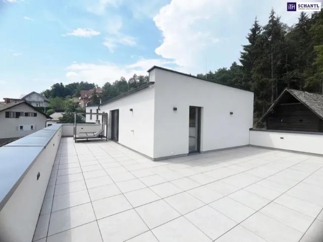 Wohnung kaufen in Naas, Steiermark