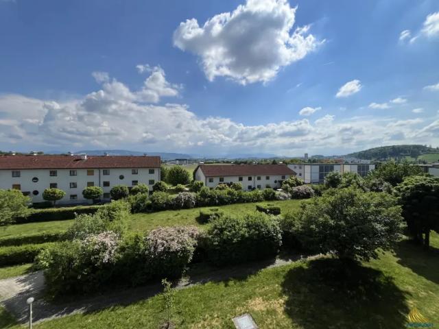Wohnung kaufen in Dietach, Oberösterreich