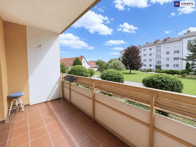Wohnung kaufen in Ebergassing, Niederösterreich