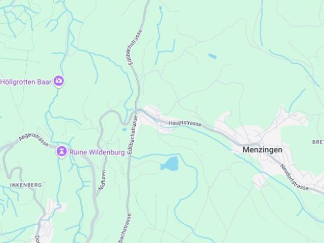 Etagenwohnung kaufen in Edlibach