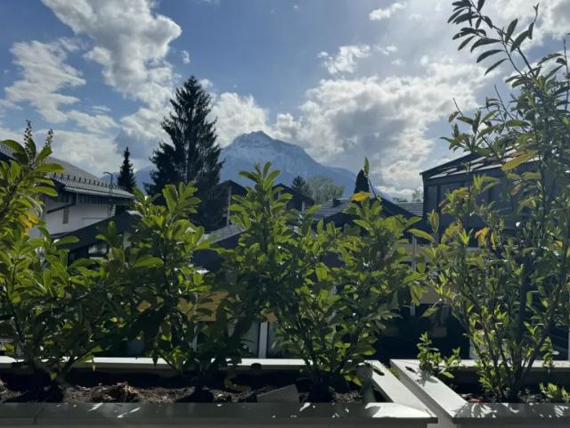 Wohnung kaufen in Hopfgarten i.Br., Tirol
