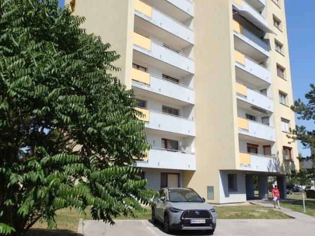Wohnung kaufen in Felixdorf, Niederösterreich