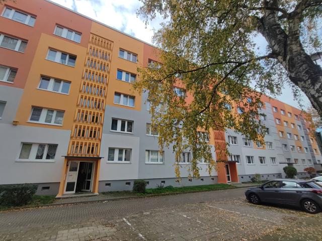Wohnung mieten in Martinsrieth, Sachsen-Anhalt