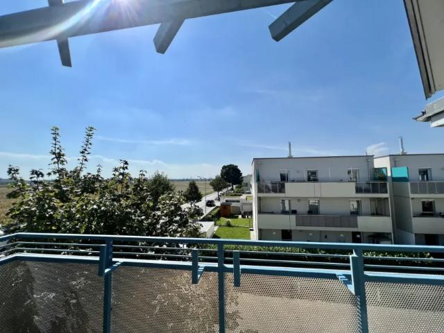 Wohnung kaufen in Gerasdorf bei Wien, Gerasdorf