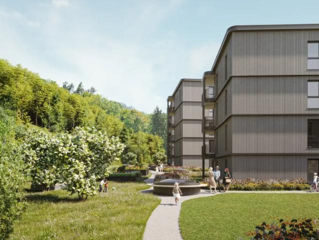 Wohnung kaufen in Kommingen, Götzis