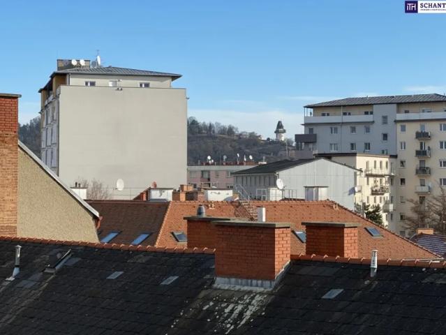 Wohnung kaufen in Andritz, Gersdorf-Feistritz