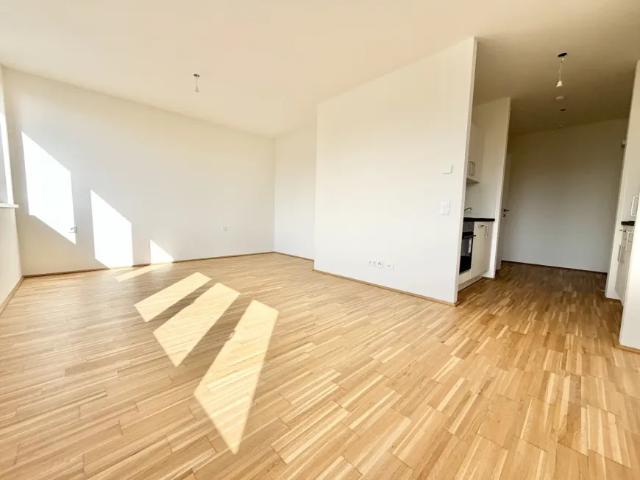 Wohnung mieten in Andritz, Gersdorf-Feistritz