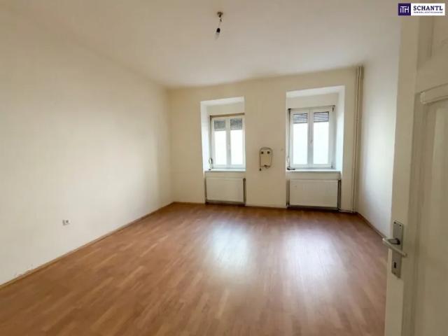 Wohnung kaufen in Andritz, Gersdorf-Feistritz