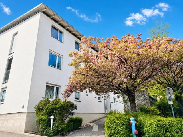 Wohnung kaufen in Andritz, Gersdorf-Feistritz