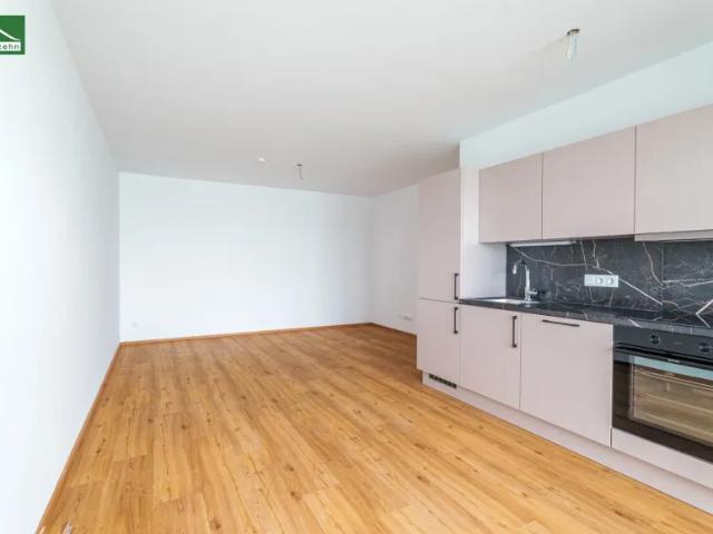Wohnung mieten in Katastralgemeinde Graz Stadt-St. Veit ob Graz, Graz