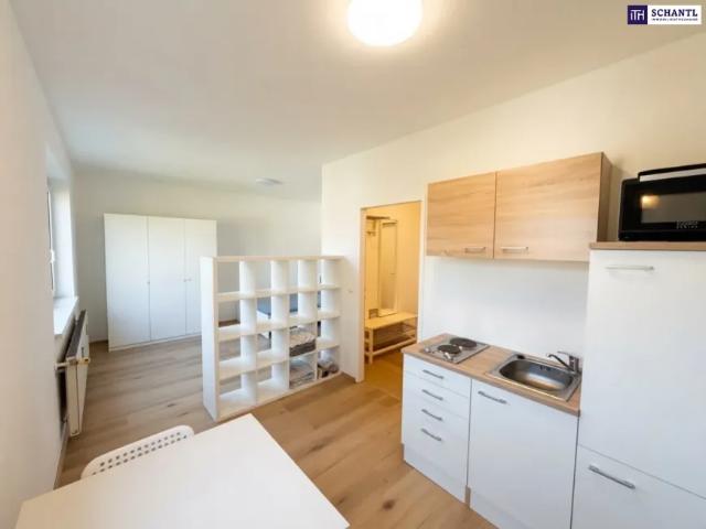 Wohnung kaufen in Katastralgemeinde Graz Stadt-St. Veit ob Graz, Graz