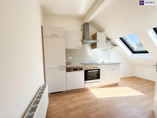 Wohnung kaufen in Katastralgemeinde Graz Stadt-St. Veit ob Graz, Graz