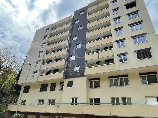 Apartment mieten in Schaffhausen