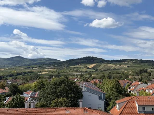 Wohnung kaufen in Guntramsdorf, Niederösterreich