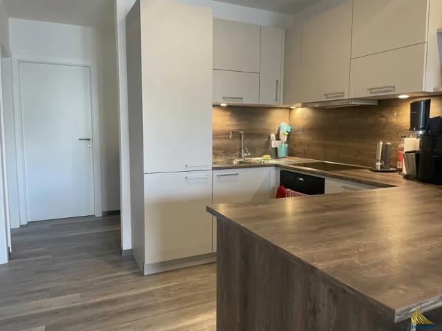 Wohnung kaufen in Hagenberg im Mühlkreis, Bezirk Freistadt