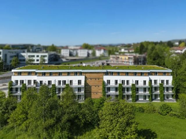Wohnung kaufen in Hartberg, Steiermark