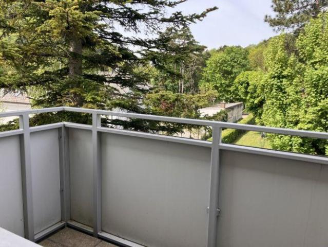 Wohnung kaufen in Katastralgemeinde Hinterbrühl, Hinterbrühl