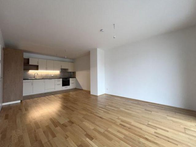 Wohnung mieten in Hollabrunn, Niederösterreich
