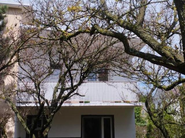 Wohnung mieten in Eisenstadt, Burgenland