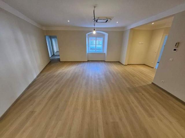 Wohnung mieten in Innere Stadt, Wien