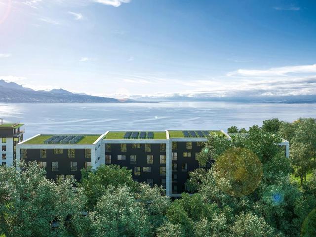 Immobilie kaufen in Puidoux, Waadt