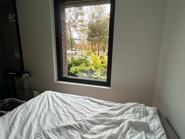Apartment mieten in Dielsdorf, Bezirk Dielsdorf