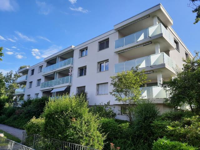 Apartment mieten in Widen, Aargau