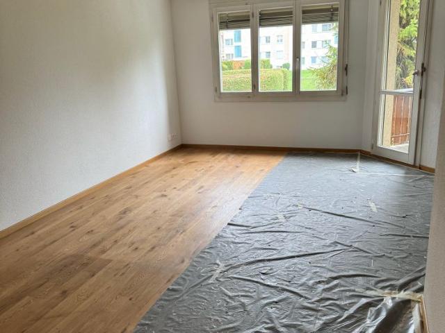 Apartment mieten in Geuensee, Lü