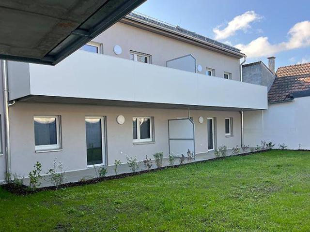 Apartment mieten in Großengersdorf, Bezirk Mistelbach