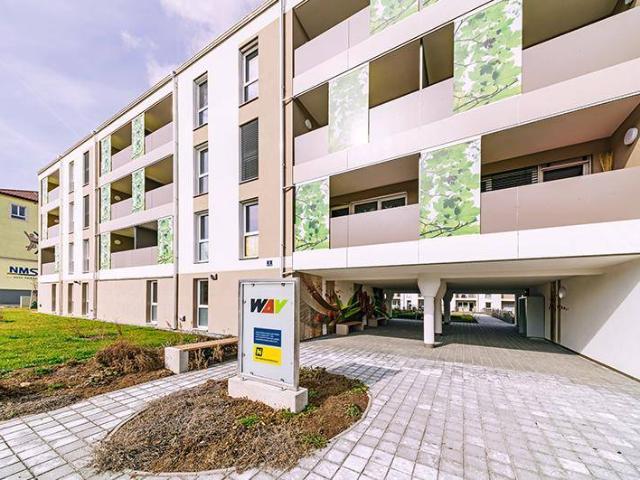 Apartment mieten in Katastralgemeinde Horn, Horn