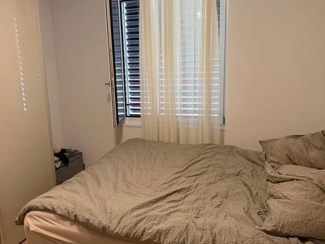 Apartment mieten in Toussen, Obfelden
