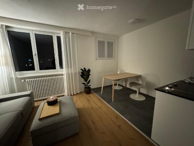 Apartment mieten in Olten, Amtei Olten-Gösgen