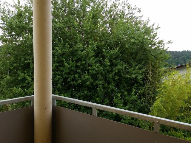 Wohnung mieten in Dobl, Dobl-Zwaring