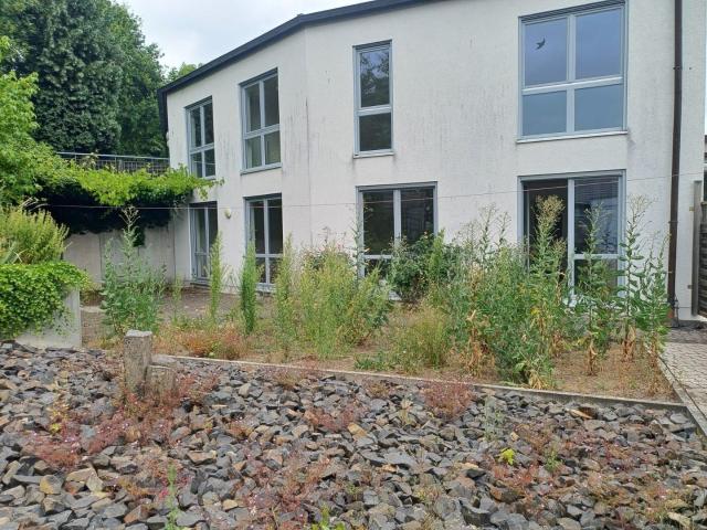 Wohnung mieten in Willscheid, Vettelschoß
