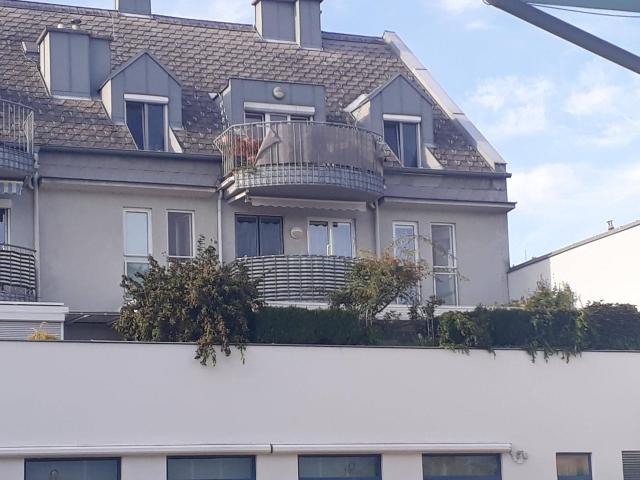 Apartment mieten in Tulln an der Donau, Niederösterreich
