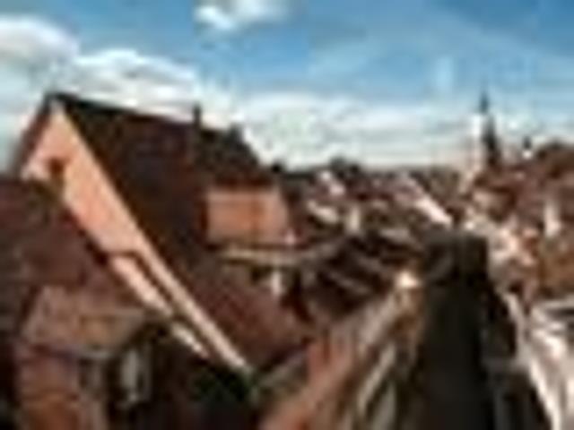 Apartment mieten in Oberwil bei Zug, Zug