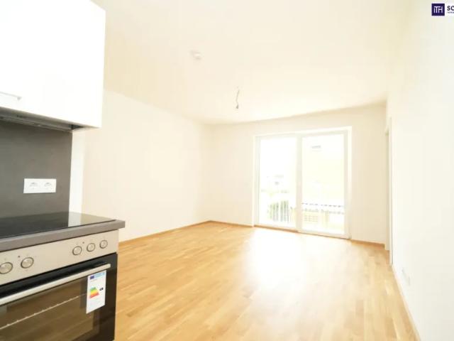 Wohnung kaufen in Gersdorf-Feistritz, Steiermark