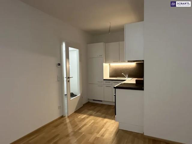 Wohnung mieten in Gersdorf-Feistritz, Steiermark