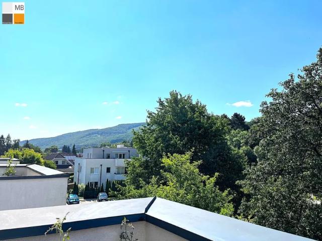 Wohnung kaufen in Klausen-Leopoldsdorf, Niederösterreich