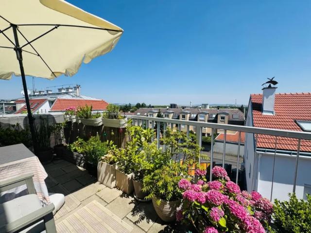 Wohnung kaufen in Klosterneuburg, Niederösterreich