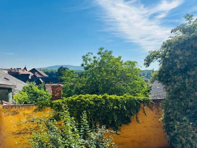 Wohnung mieten in Klosterneuburg, Niederösterreich