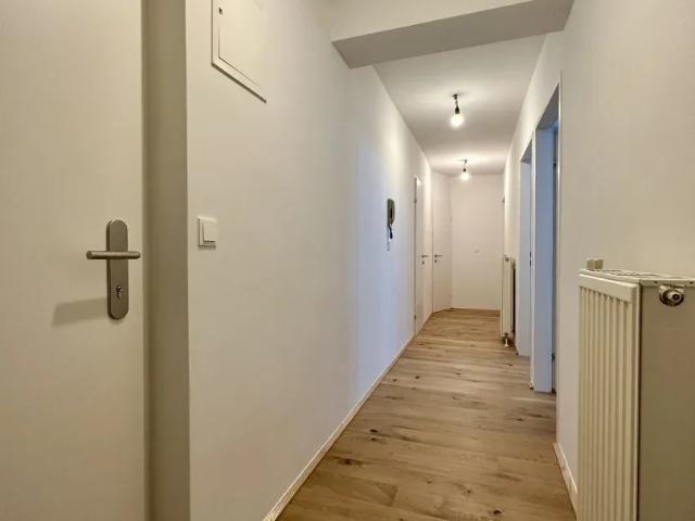 Wohnung mieten in Kottingbrunn, Niederösterreich