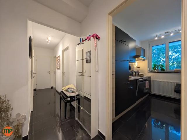 Wohnung mieten in Katastralgemeinde Langenzersdorf, Langenzersdorf