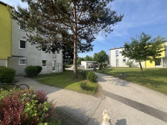 Wohnung kaufen in St. Georgen am Längsee, Kärnten