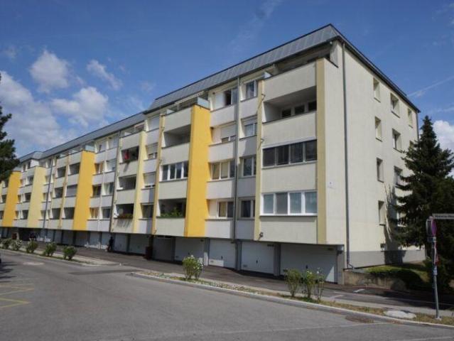 Wohnung mieten in Laxenburg, Niederösterreich