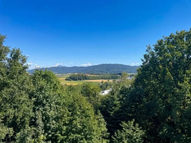 Wohnung kaufen in Oberösterreich